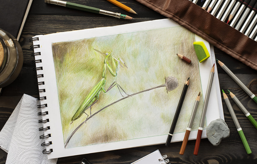 Як почати вести скетчбук